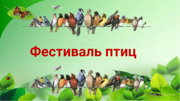 Фестиваль Фестиваль.